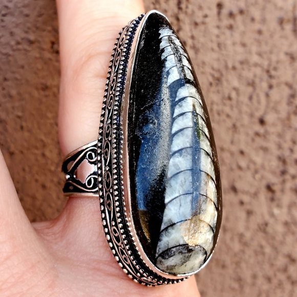 New Huge Orthoceras Fossil 925 Silver Ring. - Picture 10 of 16